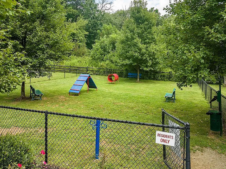 Experience Unparalleled Joy at Our Community Dog Park, Nestled Amidst Greenery.