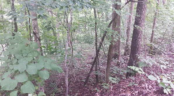 2nd image of Hueston Wood Ln
