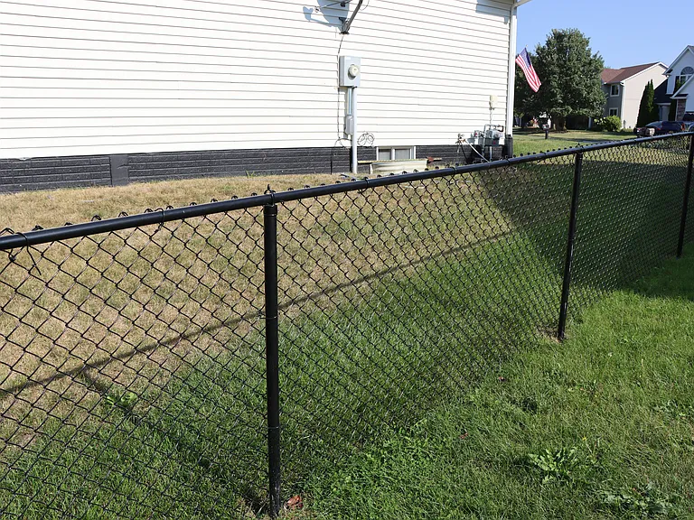 Backyard is completely fenced in.