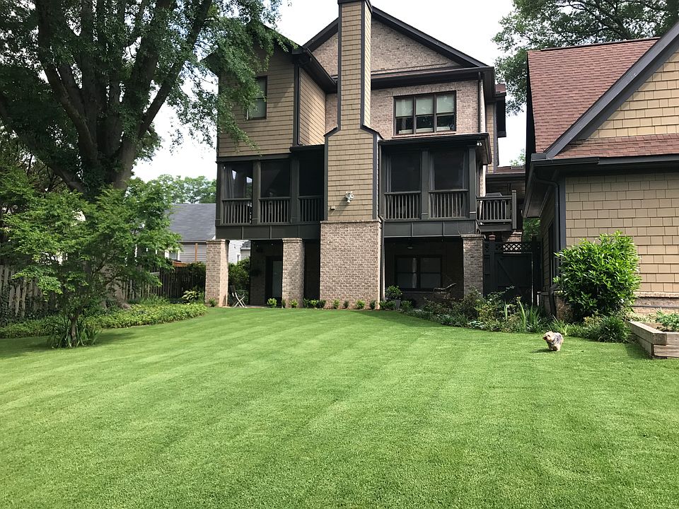 Back yard