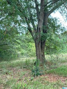 0 Mardisville Rd #0, Talladega, AL, 35160