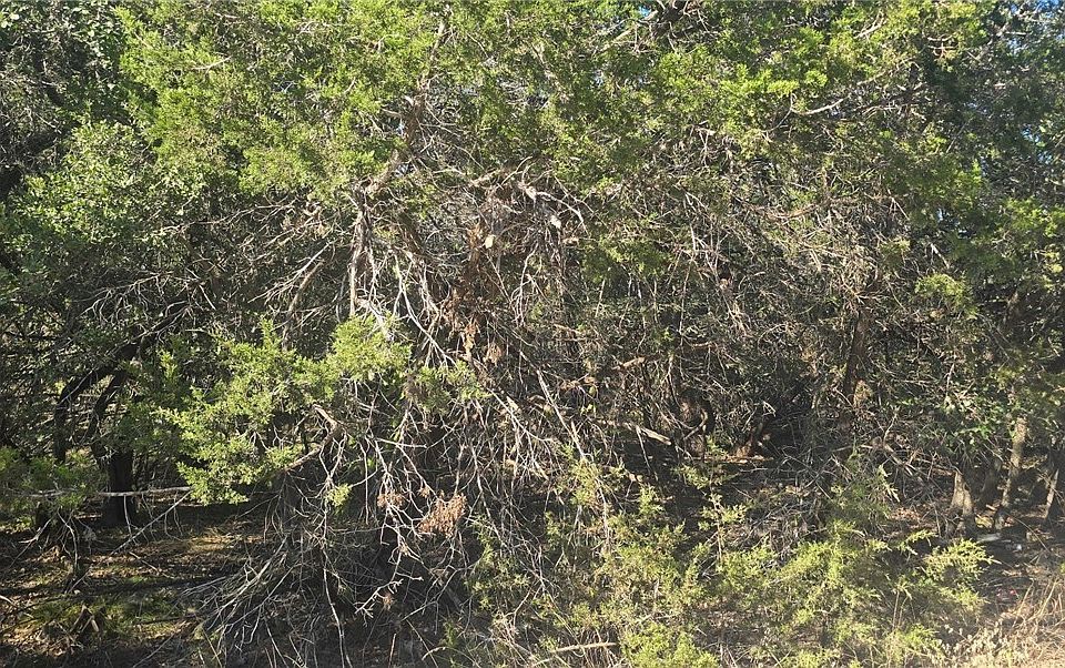2nd image of 716 Line Camp Loop