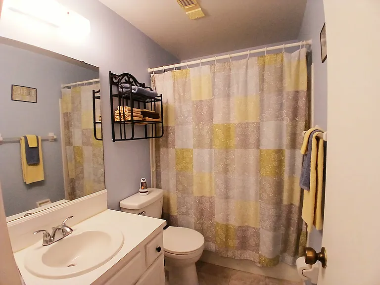 Guest Bathroom with Tub/Shower Combo
