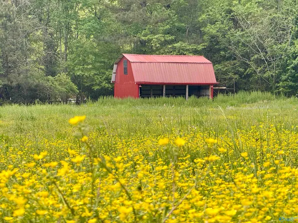 County Road 726, Gaylesville, AL 35973