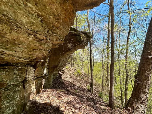 (undisclosed Address), Clinton, AR 72031