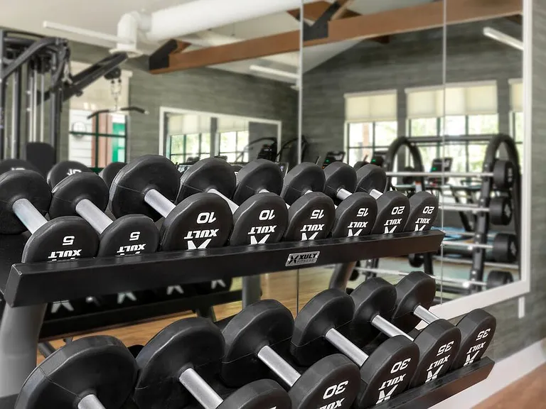 Fitness center with strength equipment
