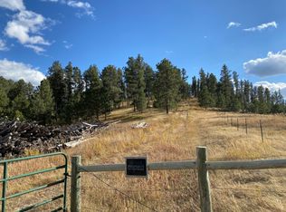 11631 Slate Prairie Rd, Hill City, SD 57745