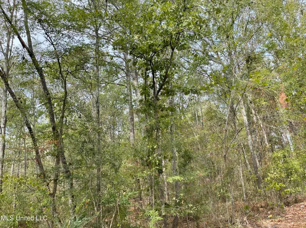 0 Elam Church Rd, Pearl, MS 39208