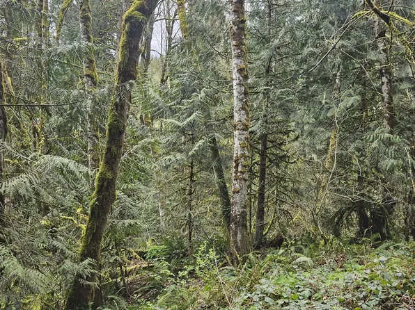 201 Pin Creek Ln, Kelso, WA 98626