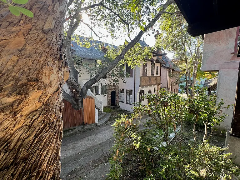 1835 Spruce St — Photo 23