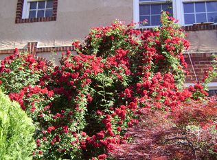 4343 Harrison St NW, Washington, DC 20015