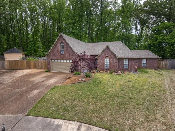 7676 Shadow View Cv, Arlington, TN 38002