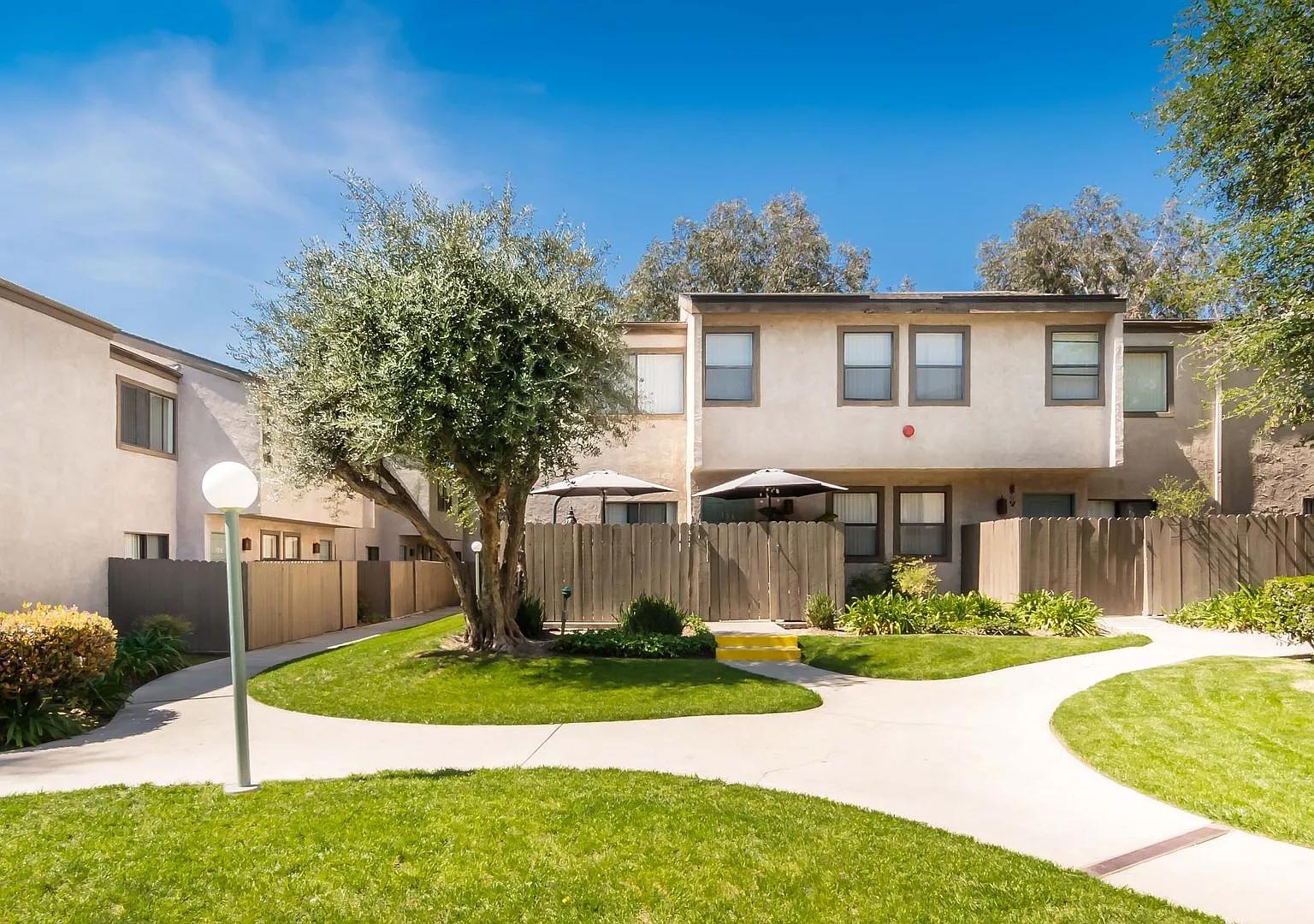 Spring Tree Apartments — Photo 1
