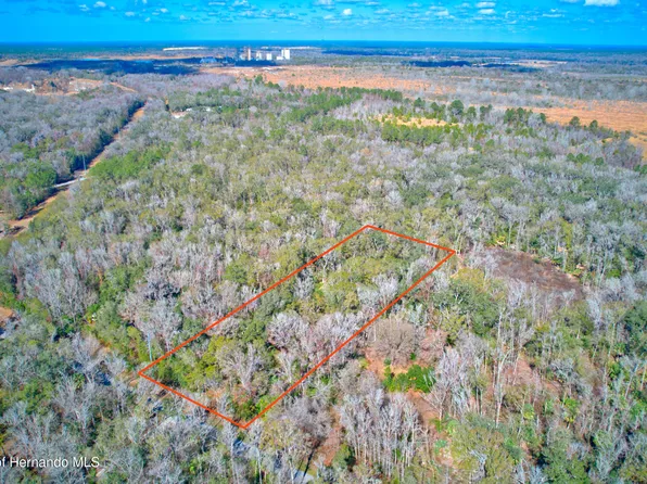 16345 Budowski Rd, Brooksville, FL 34614