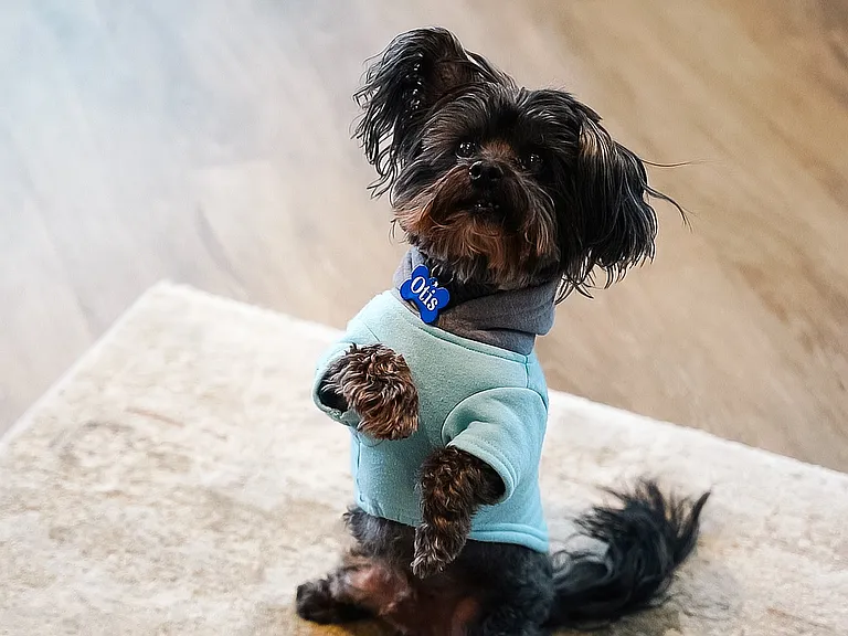 The Reserve is a pet-friendly community, with no weight or breed restrictions for dogs.