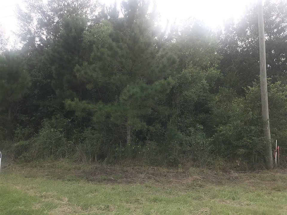 2nd image of 4575 Quiet Oaks