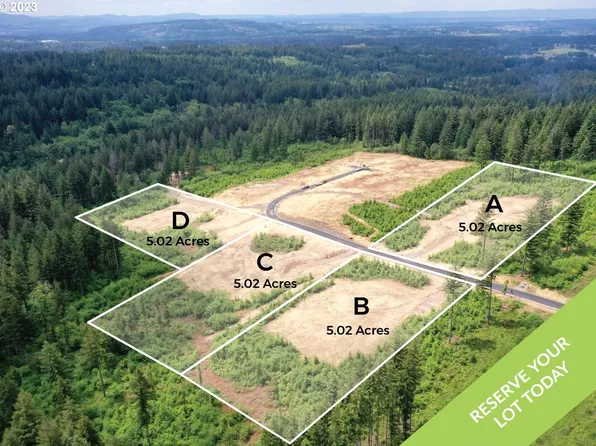 NE 48th Way Lot D, Camas, WA 98607