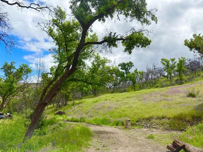 3765 - 3765 E Highway 128, Saint Helena, CA, 94574