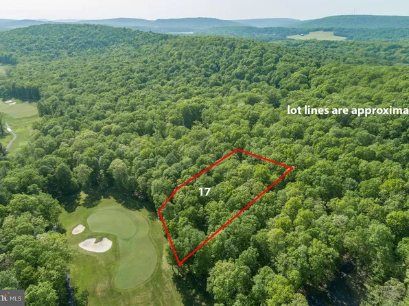 17 Poland Heights Ln, Swanton, MD 21561