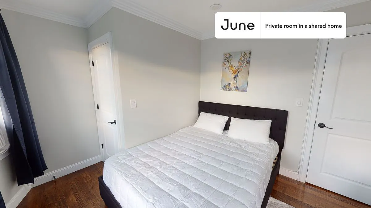 Queen bedroom in 5 bed/1.5 bath home in Brighton #571 B — Photo 1