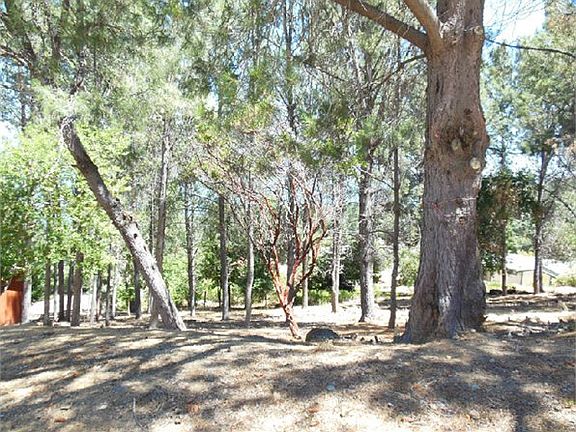 2nd image of 3448 Pine Terrace Dr