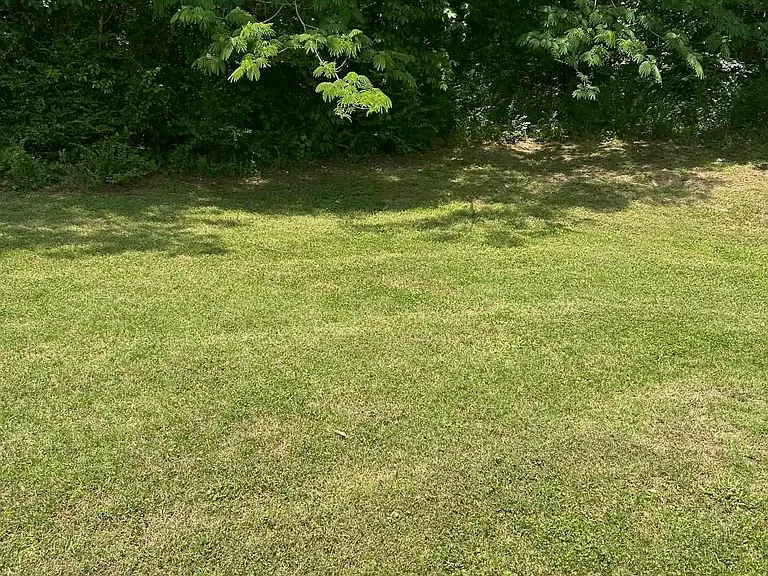 241 Old Cahaba Trl — Photo 21
