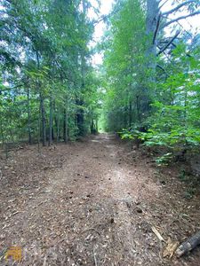 0 Smith Rd, Tignall, GA, 30668