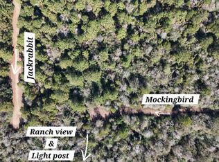 28802 Jackrabbit All Dr, Hempstead, TX 77445