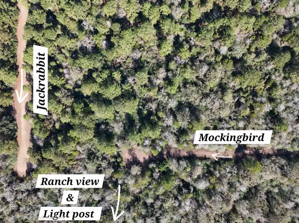 28802 Jackrabbit All Dr, Hempstead, TX 77445