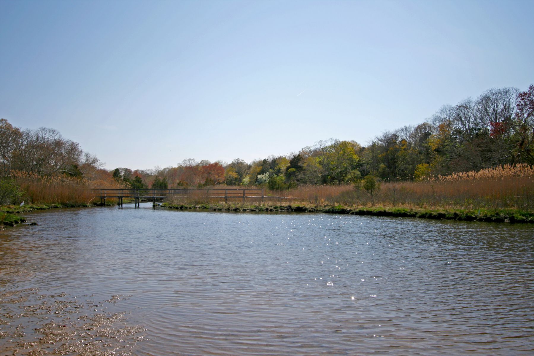 Property in East Hampton Out East