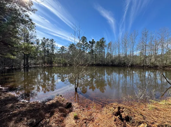 7365 Fm 2022 N, Grapeland, TX 75844