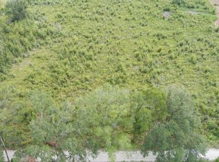 245 SE Pearl Fletcher Rd, Branford, FL 32008