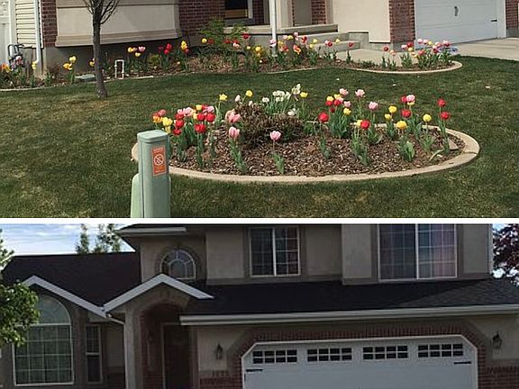 IMG_2970_Original_07062024