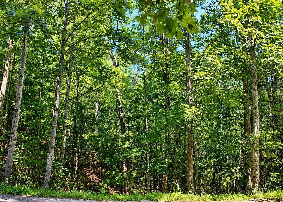 1st image of LOT 18 Wilderness Ct