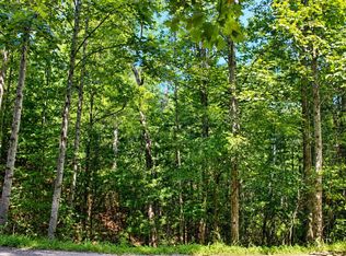 LOT 18 Wilderness Ct, Blairsville, GA 30512
