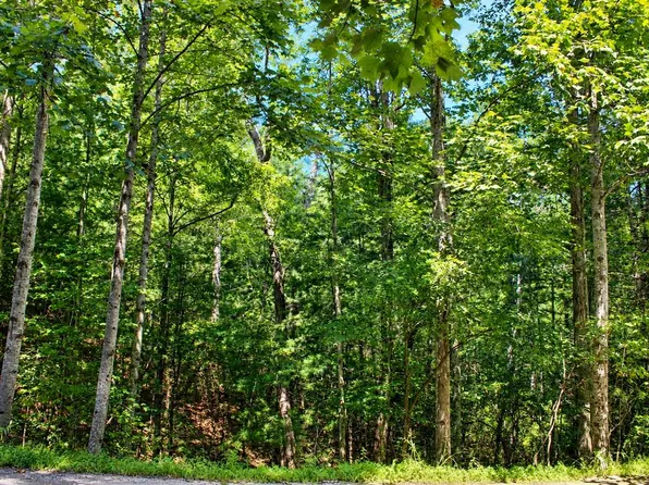 LOT 18 Wilderness Ct, Blairsville, GA 30512