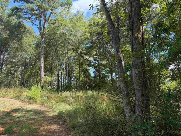 13929 County Road 294, Arp, TX 75750