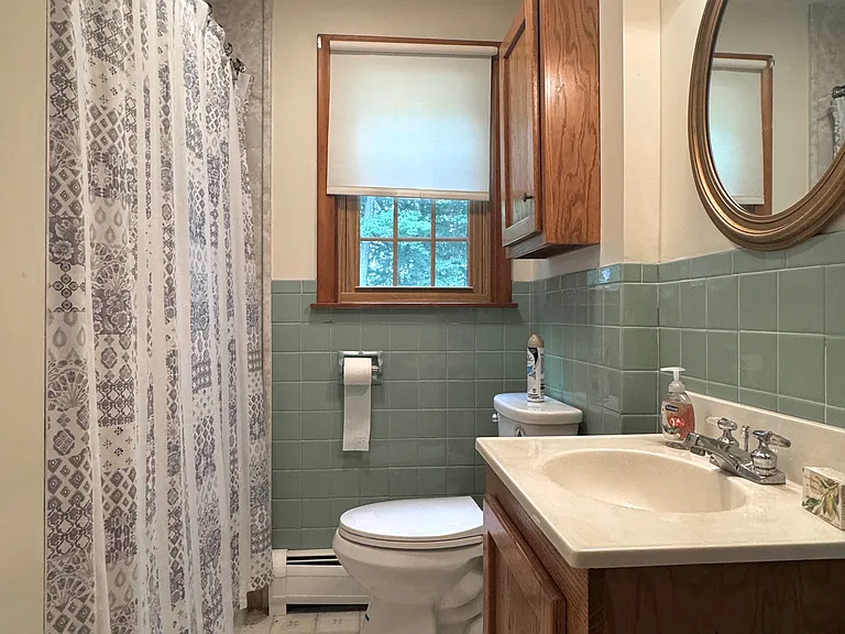 293 Birch Bluffs Dr — Photo 11