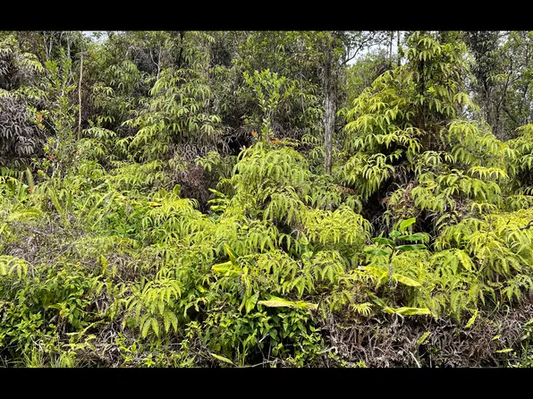 11-3045 Apuakehau Rd Lot 44, Volcano, HI 96785
