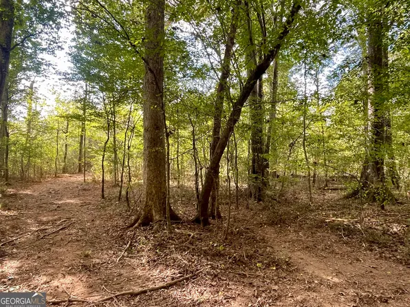 0 Buffalo Creek Rd, Carrollton, GA 30117