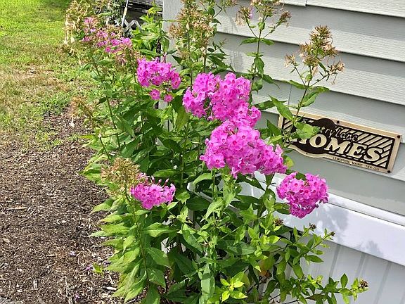 3rd image of 665 Saco St Lot 26