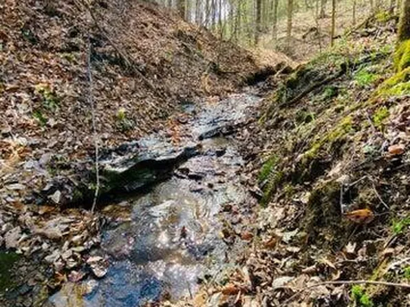 23584 Conrad Rd, South Bloomingville, OH 43152