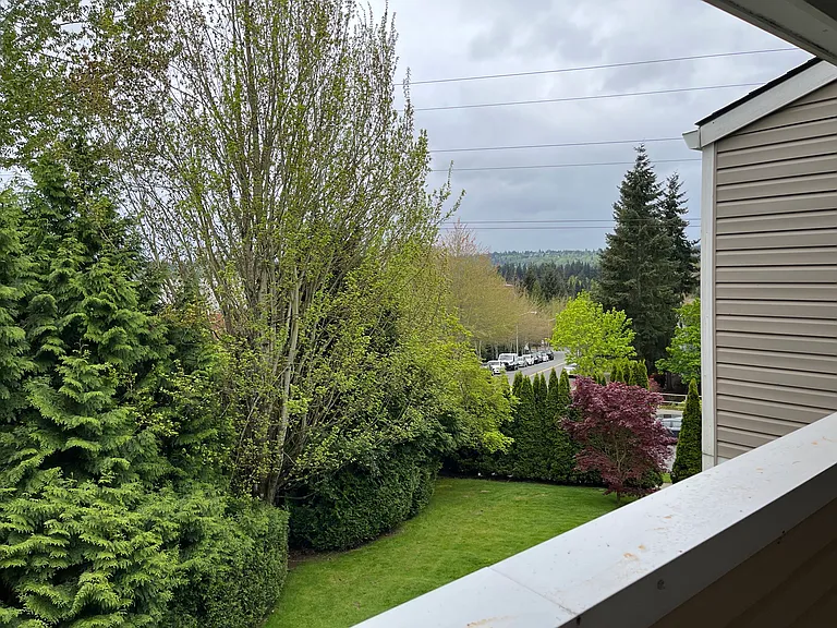View from deck