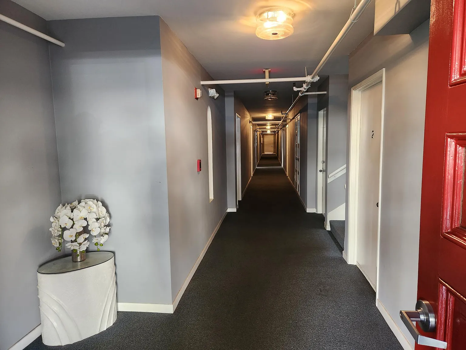 Studio, 212 sqft, $1,650 — Photo 2