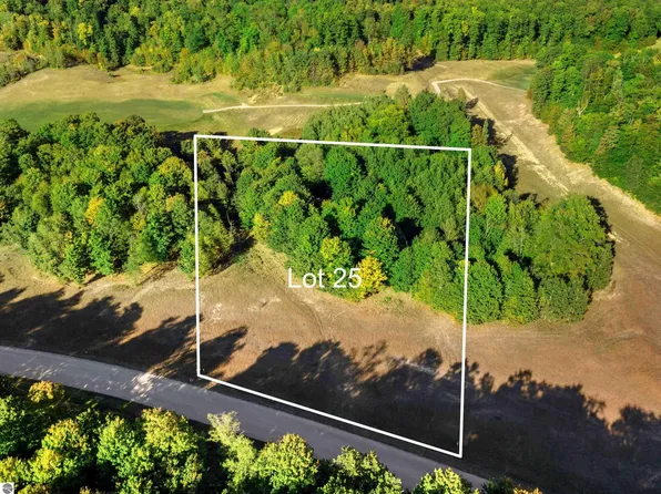 25 Heather Ridge Trl, Beulah, MI 49617