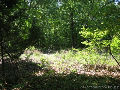 19 W Arrowwood Rd, Cookson, OK, 74427