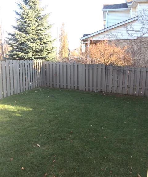 74 Rodgers Rd — Photo 11