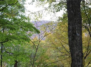 313 Serenity Mountain Rd, Waynesville, NC 28786