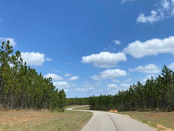 <p>winding Vista Hill Drive</p>