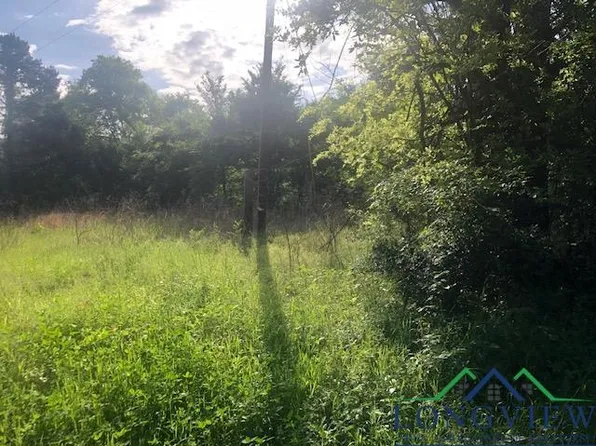 County Road 4174 W, Laneville, TX 75667